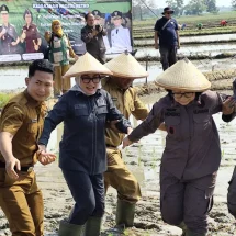Ria Hartini, Buktikan Komitmen  Mendukung Kesejahteraan Petani dan Ketahan Pangan